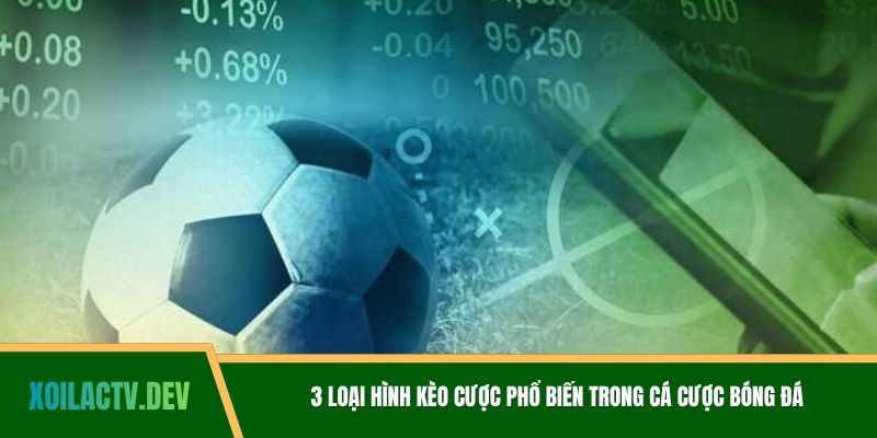 3 loại hình kèo cược phổ biến trong cá cược bóng đá