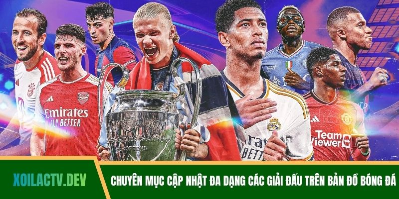 Chuyên mục cập nhật đa dạng các giải đấu trên bản đồ bóng đá