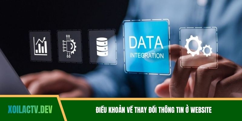 Điều khoản về thay đổi thông tin ở website