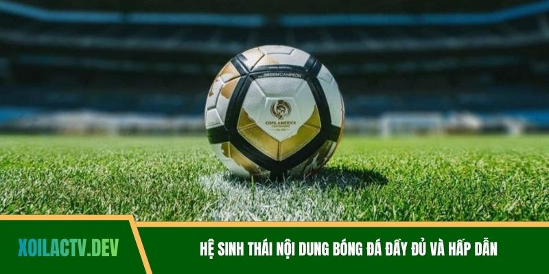 Hệ sinh thái nội dung bóng đá đầy đủ và hấp dẫn