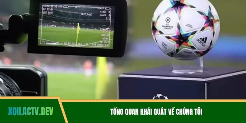 Tổng quan khái quát về chúng tôi